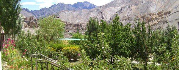 Hotel Moonland, Leh 5